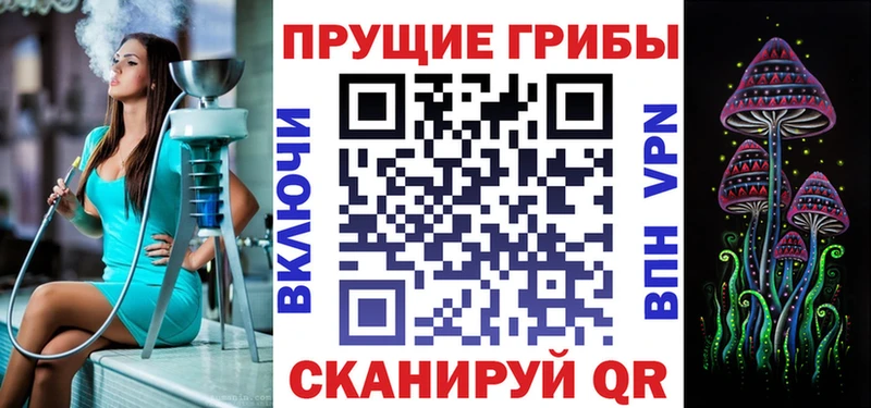 Псилоцибиновые грибы Psilocybine cubensis  купить  сайты  Голицыно 