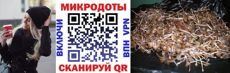 Галлюциногенные грибы ЛСД Голицыно