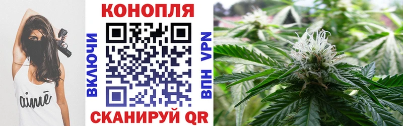 Конопля индика Голицыно